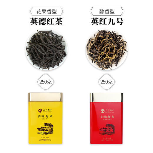 【品牌经典】八百秀才醇香小黄罐英红九号花果香小红罐英德红茶组合罐装500g 商品图1