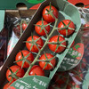 【市区内顺带不发快递】樱桃串收小番茄1箱10条 每条198克  美白抗氧 商品缩略图5