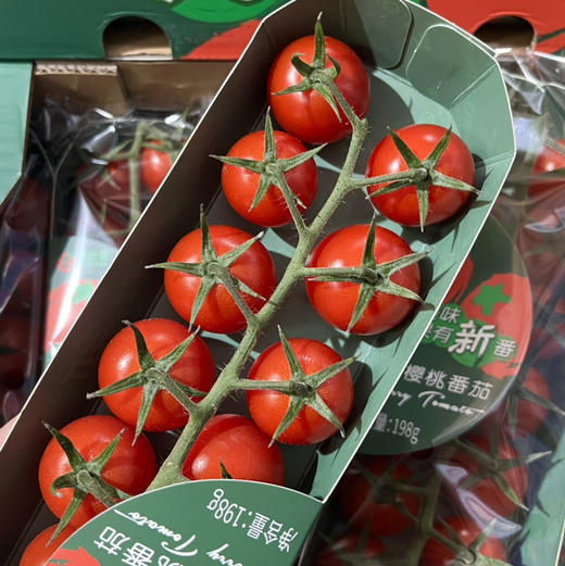 【市区内顺带不发快递】樱桃串收小番茄1箱10条 每条198克  美白抗氧 商品图5