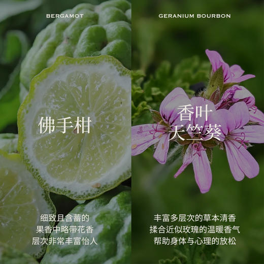 Aroma Promise且听风吟(佛手柑精油10ml+香叶天竺葵精油15ml+木纹香薰机） 商品图2