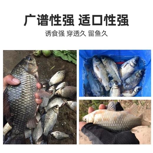 佳钓尼神诱鱼饵酒米打窝米钓鱼饵料野钓黑坑麝香窝料鲫鱼食饵料 商品图2