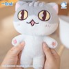 【瓜子公仔】如果历史一群喵棉娃娃娃20cm带骨架换装玩偶公仔 商品缩略图0