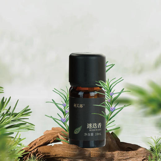 LEAF·利芙耶 迷迭香单方精油10ml/瓶 商品图1