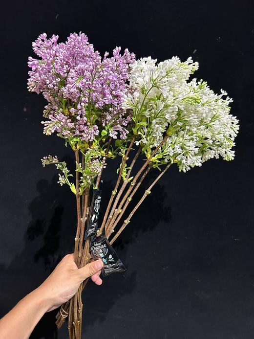 高端荷兰进口丁香花5支 商品图4