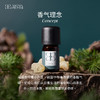 Aroma Promise冥想世界套组(乳香精油5ml+木纹香薰机） 商品缩略图1