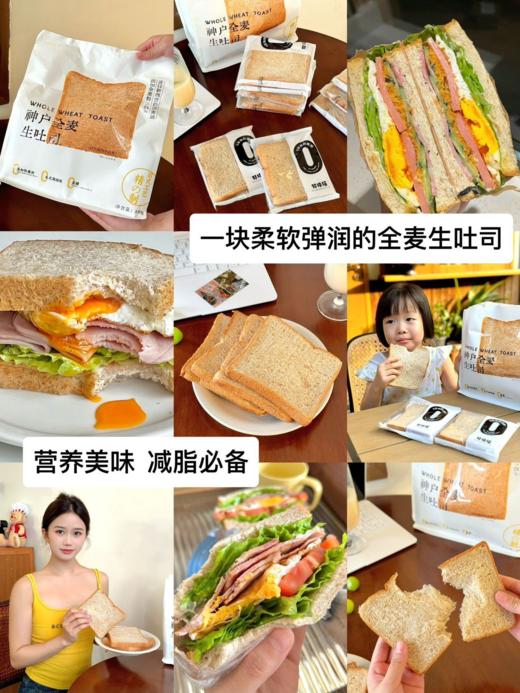 梦仲瑶全麦吐司🍞 商品图2