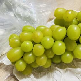 真用心种 阳光玫瑰葡萄 临猗 青葡萄，有籽，纯甜