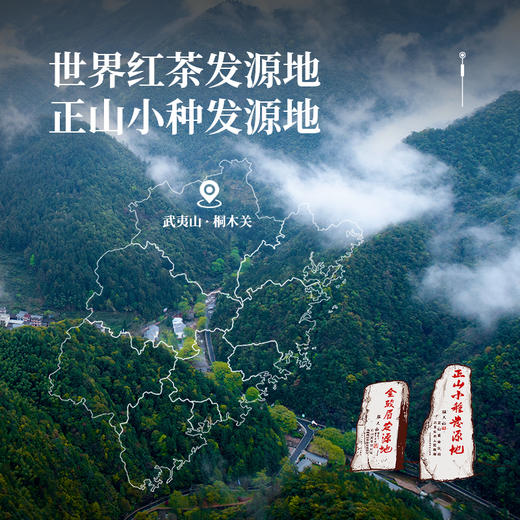 包装更新 正山堂海晏河清正山小种礼盒装特级红茶叶正宗送礼150g 商品图7