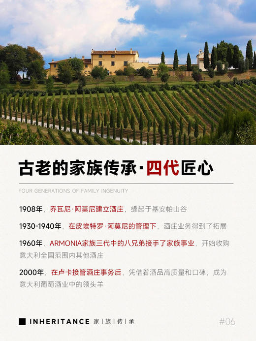 【世界侍酒师大赛98分推荐】意大利阿莫尼风干葡萄酒 意大利原瓶进口 17%vol 商品图6