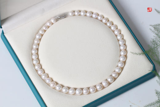 [ 念汐 ] 淡水珍珠项链  珠径：9~11mm 商品图1