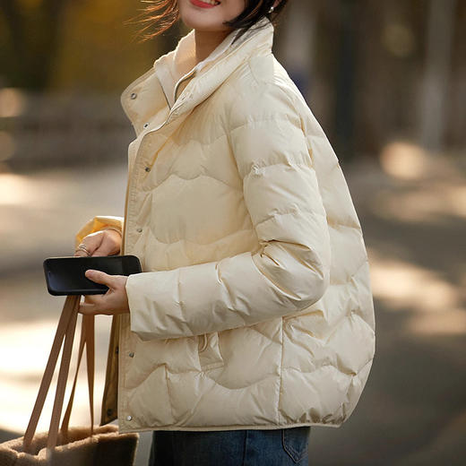 【高货ayts】全新升级【铂金会员487/天猫669/差价182】(03727) 洛诗琳24冬季新款95白鹅绒轻薄显瘦茧型羽绒服 商品图3