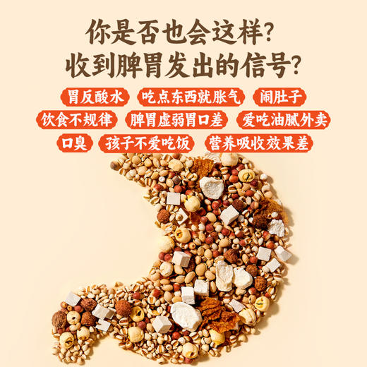 阿丽塔益生菌八珍粉  特别添加耐高温益生菌BC99  300g（20g*15条） 商品图2