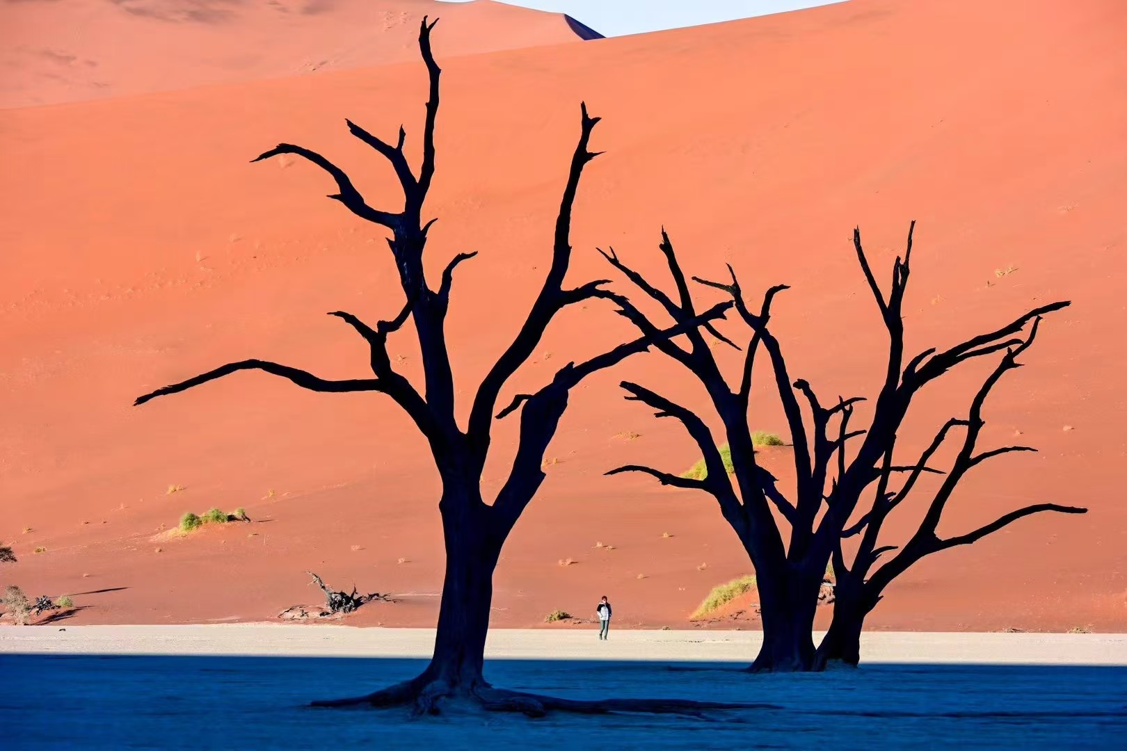 【非洲之最】探索宝藏式的国度，纳米比亚摄影之旅