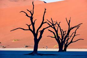 【非洲之最】探索宝藏式的国度，纳米比亚摄影之旅