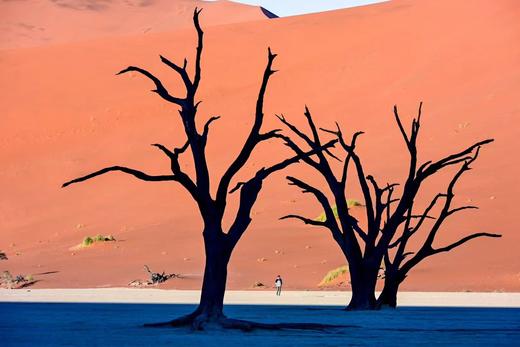 【9月16日-28日纳米比亚13天摄影创作】拍红沙漠 · 追野生动物 · 探访辛巴红人部落 商品图0