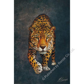 豹的巡礼/1008片