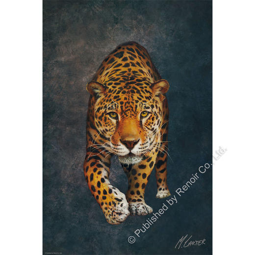 豹的巡礼/1008片 商品图0