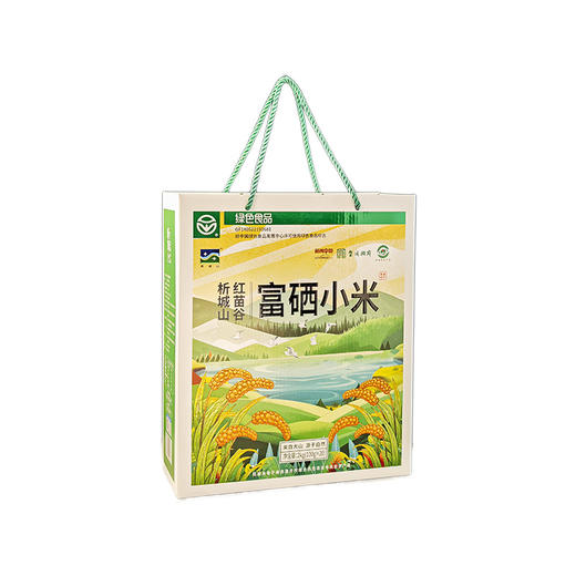 析城山红苗谷富硒小米礼盒  2kg（100g*20） 商品图0