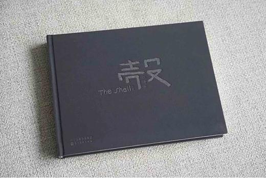 《壳  The Shell》张涛摄影集/河北美术出版社 商品图0