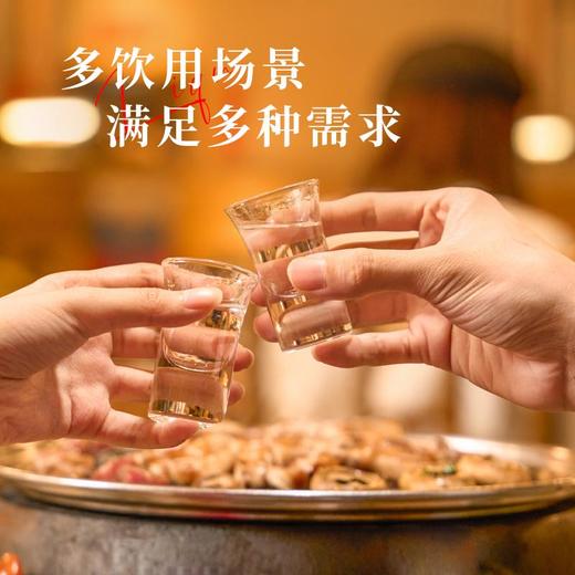 【贵州印象】酒体醇厚，口感柔和，茅台工艺酿造，品味非凡酱香 商品图4