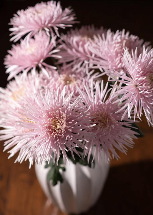 烟花菊~卡普瑞（奥利粉) 约10枝 商品图1