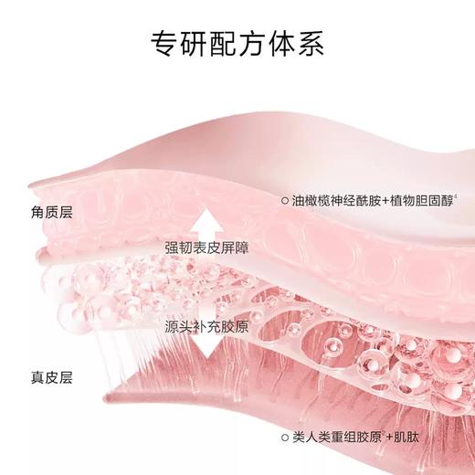 一叶子紧致修护精华乳100ml 新款-1697 商品图5