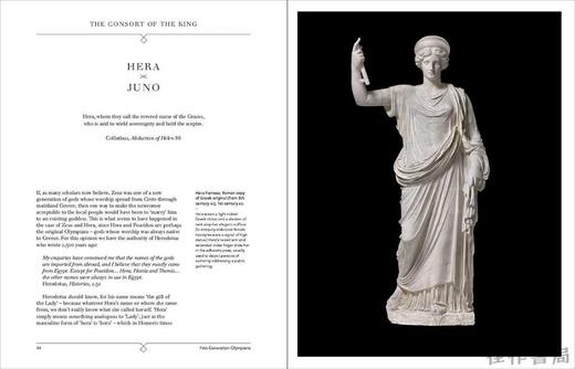 The Gods and Goddesses of Greece and Rome : A Guide to the Classical Pantheon / 希腊和罗马的诸神：古典万神殿指南 商品图3