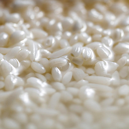 春醴清米酒 低温发酵28天 10度微醺 商品图2