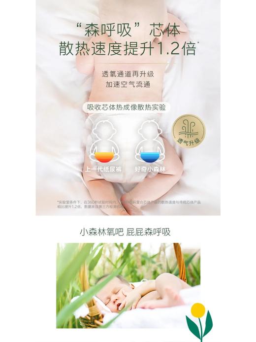 好奇心钻装小森林纸尿裤/拉拉裤（NB、S、M、L、XL、XXL、XXXL） 商品图1