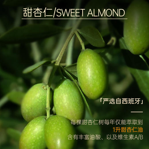 【双12大促】嘉媚乐甜杏仁精油  呵护全身 柔润护肤 婴儿按摩 宝妈专用 基础精油 商品图2