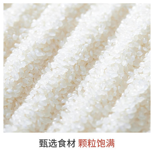 「5斤装！真空包装」鱼台大米5斤一袋粳米2.5千克珍珠米 粮油米面 商品图3