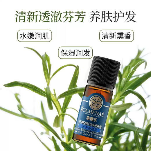 【双12大促】嘉媚乐迷迭香精油  高考灵活 细腻毛孔 收紧肌肤  单方精油 商品图0