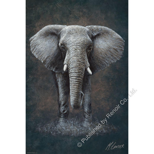 象的行旅/1008片 商品图0