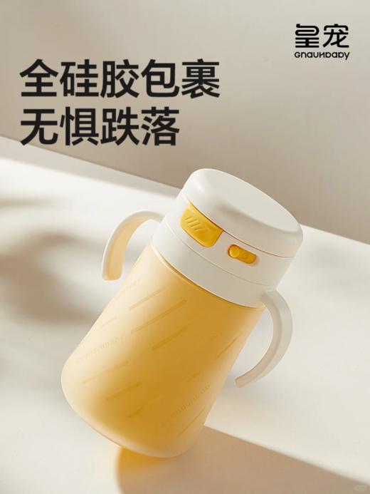 【皇宠保温奶瓶】330ml  带刻度 商品图0