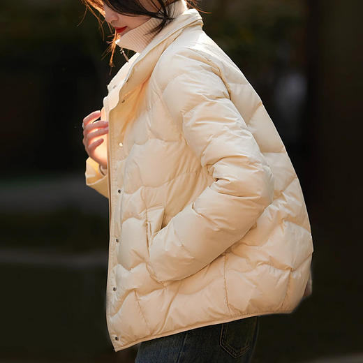 【高货ayts】全新升级【铂金会员487/天猫669/差价182】(03727) 洛诗琳24冬季新款95白鹅绒轻薄显瘦茧型羽绒服 商品图1