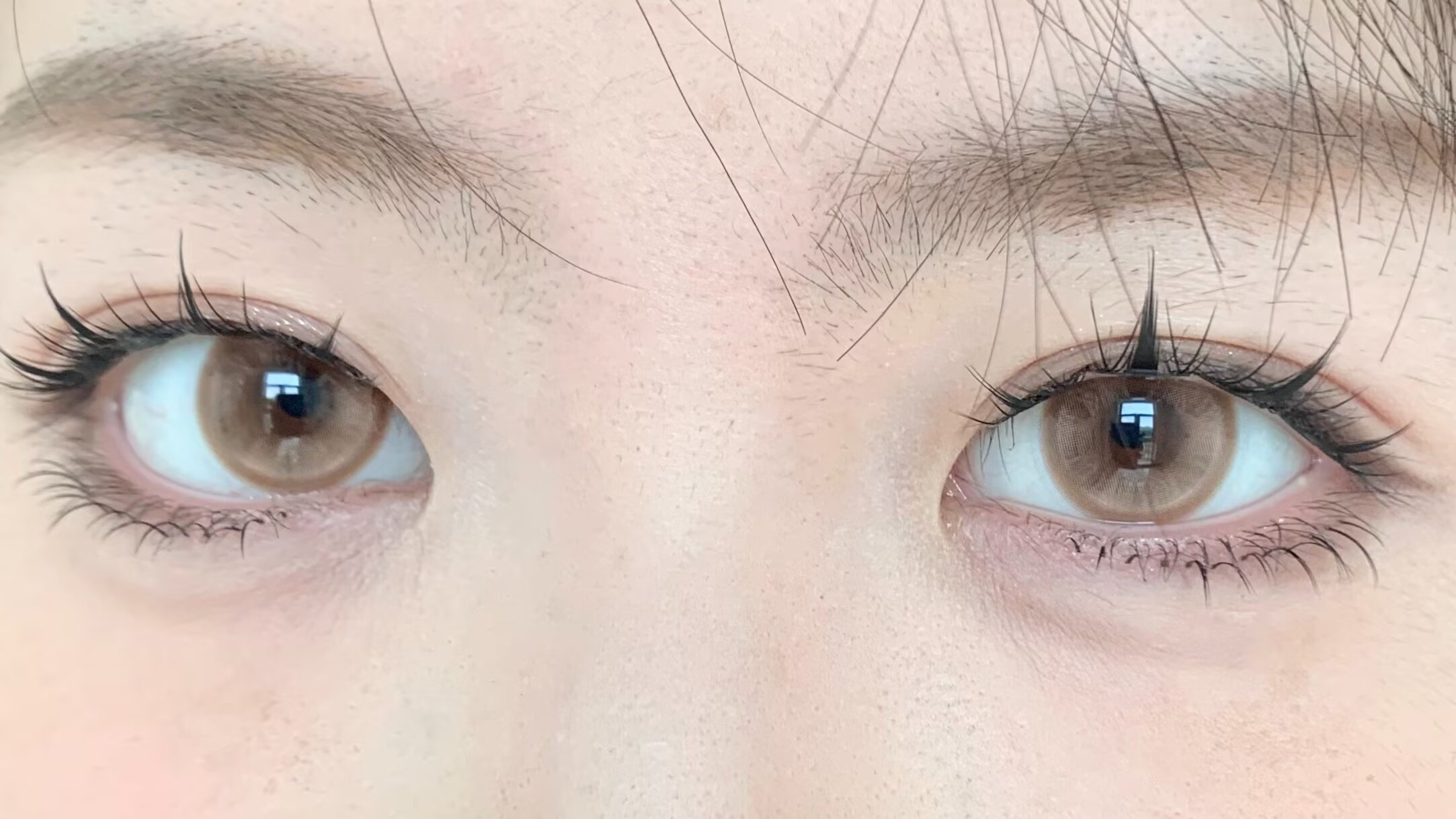 ice candy月抛美瞳 塞尔维亚舞女 14.2mm