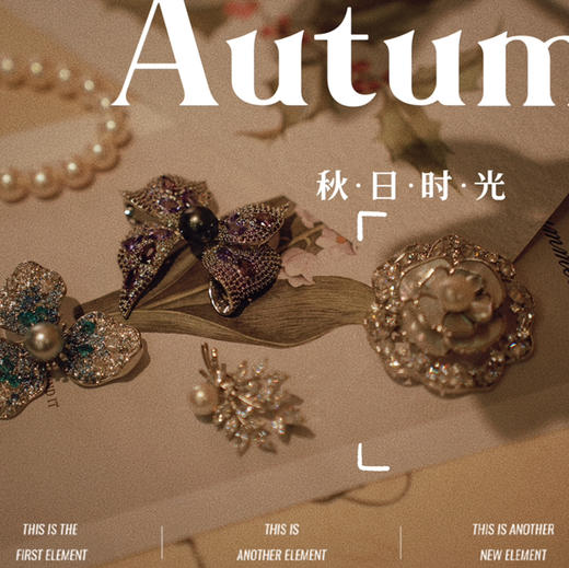 秋冬季胸针 2024 new collection “彩钻”豪镶 
10mm左右大溪地黑珍珠 九紫离火运 紫色能量 立体蝴蝶结胸针 商品图5