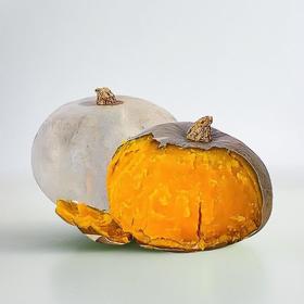 新疆有机板栗南瓜礼盒装 2900-3100g