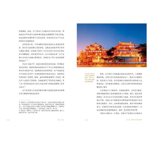 汴京,汴京 一座城市的衰落,一个王朝的崩塌 商品图2