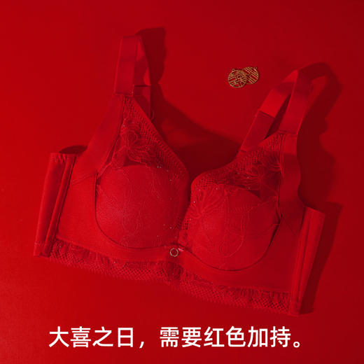 【商场同款】熳洁儿 大胸显小轻薄芒果杯收副乳防下垂蕾丝性感24701319 商品图4