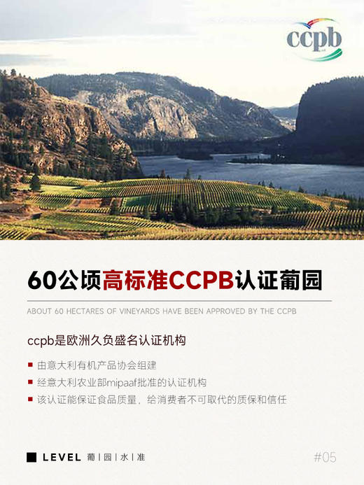 【世界侍酒师大赛98分推荐】意大利阿莫尼风干葡萄酒 意大利原瓶进口 17%vol 商品图5