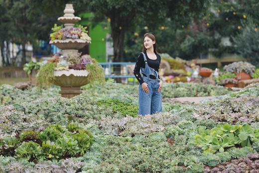 【漫花庄园 2026年双人年卡】 商品图9