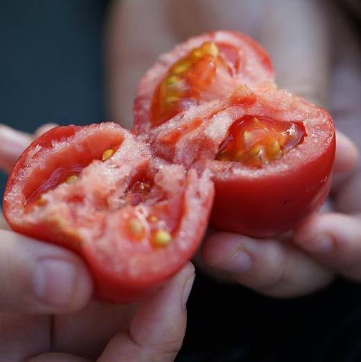 塔塔蜜水果番茄 商品图1