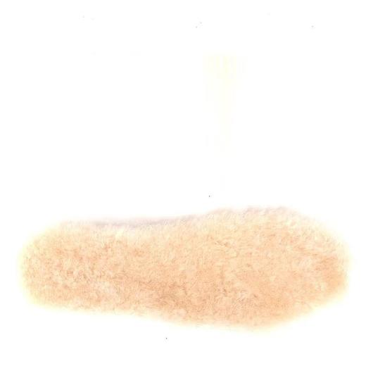 2楼UGG1101443鞋垫吊牌价299 商品图0