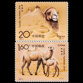 《野骆驼》特种邮票 1993-3