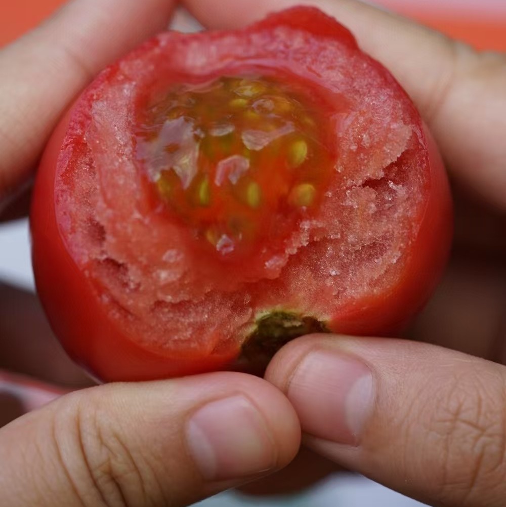 塔塔蜜水果番茄