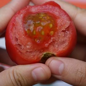 塔塔蜜水果番茄