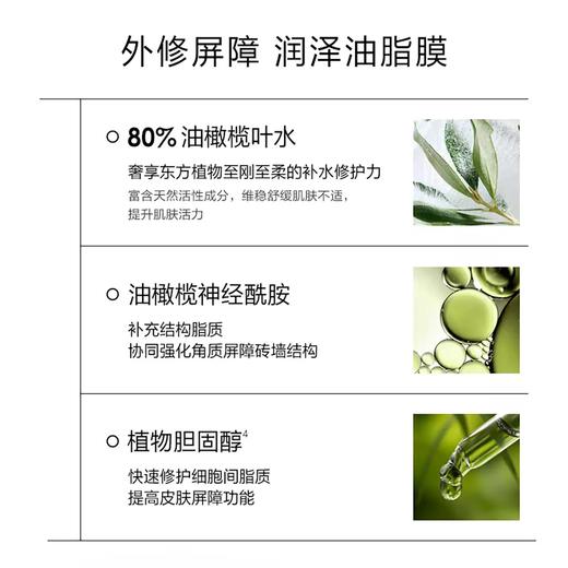 一叶子紧致修护精华水100ml 新款-1680 商品图3
