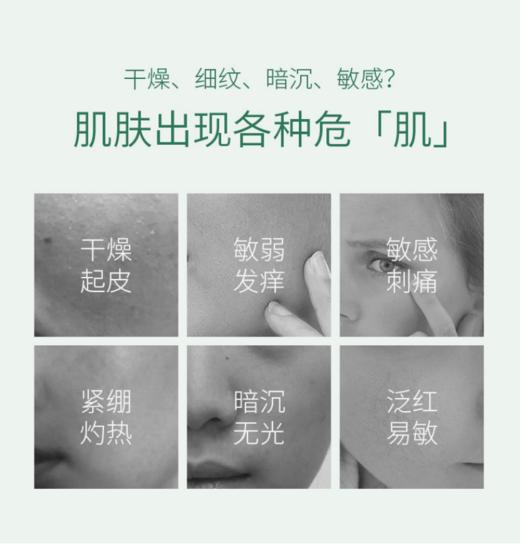 介绍链接丨新加坡枫缇Ble de FontyV脸精华针对水肿/发腮/下颌线模糊，常年断货！效果牛到你无法想象❗️保湿修护面霜“亢衰+修护+保湿+提亮”4重功效一瓶搞定 商品图14