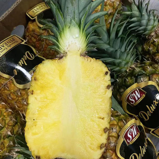 【香甜爽口】菲律宾凤梨 约1100g/个 商品图1